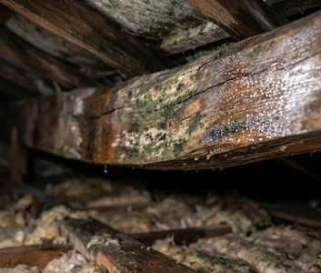 Toiture affaissée à Nice à cause d'une charpente fragilisée par l'humidité et un défaut d'étanchéité.