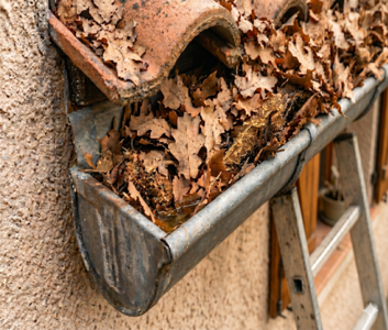 Gouttière zinc obstruée par feuilles sèches sur villa de Gattières, à nettoyer avant les premiers orages d'automne.