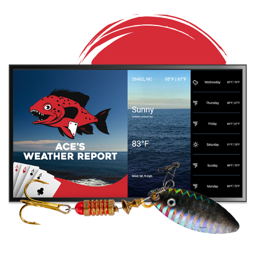A screen example of a WildCard weather display.