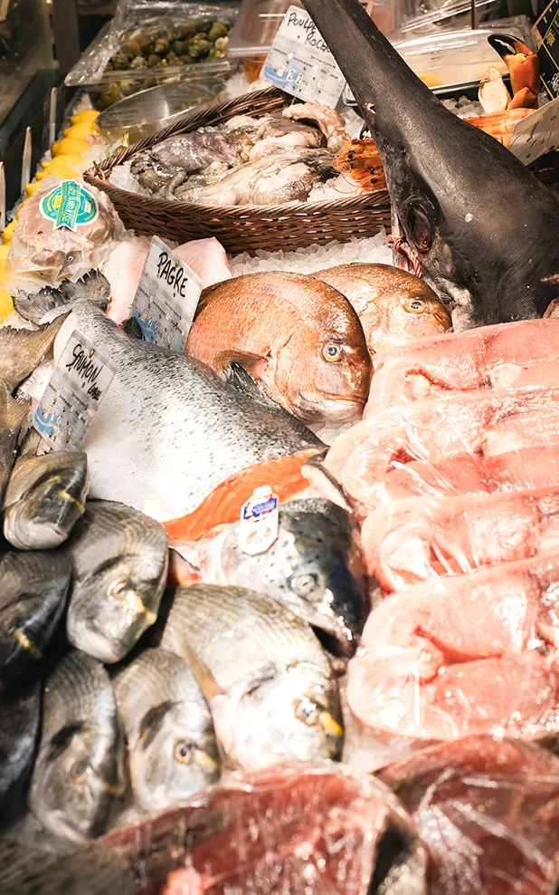 Poissonnier boulevard Longchamp à Marseille au Marché des Argonautes. On y voit une étale variée de poissons frais pêchés localement.