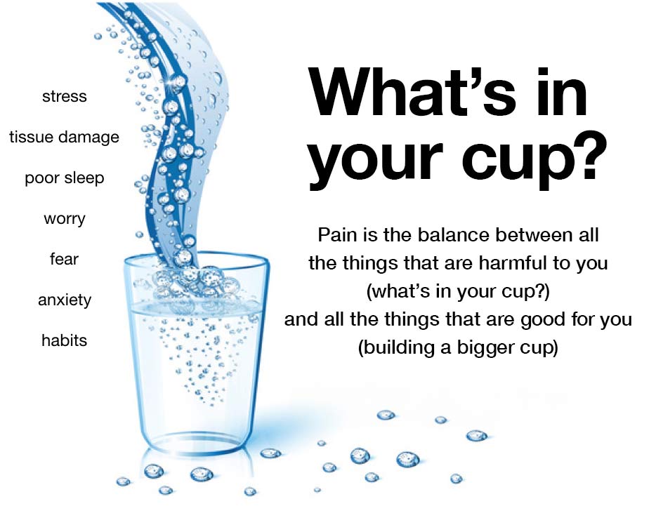 whats in your cup