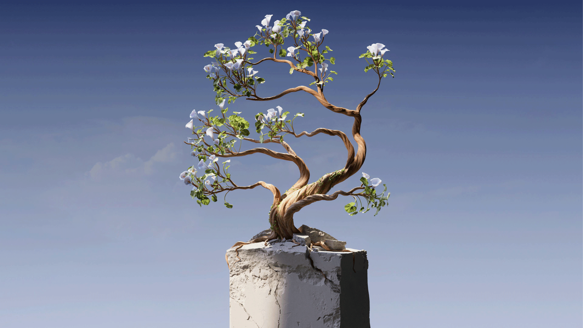 A plant with branches and blooms