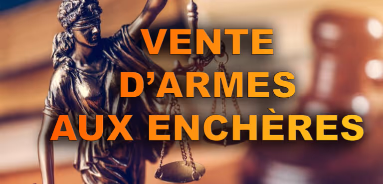 Ventes armes à feux en France par un commissaire de justice