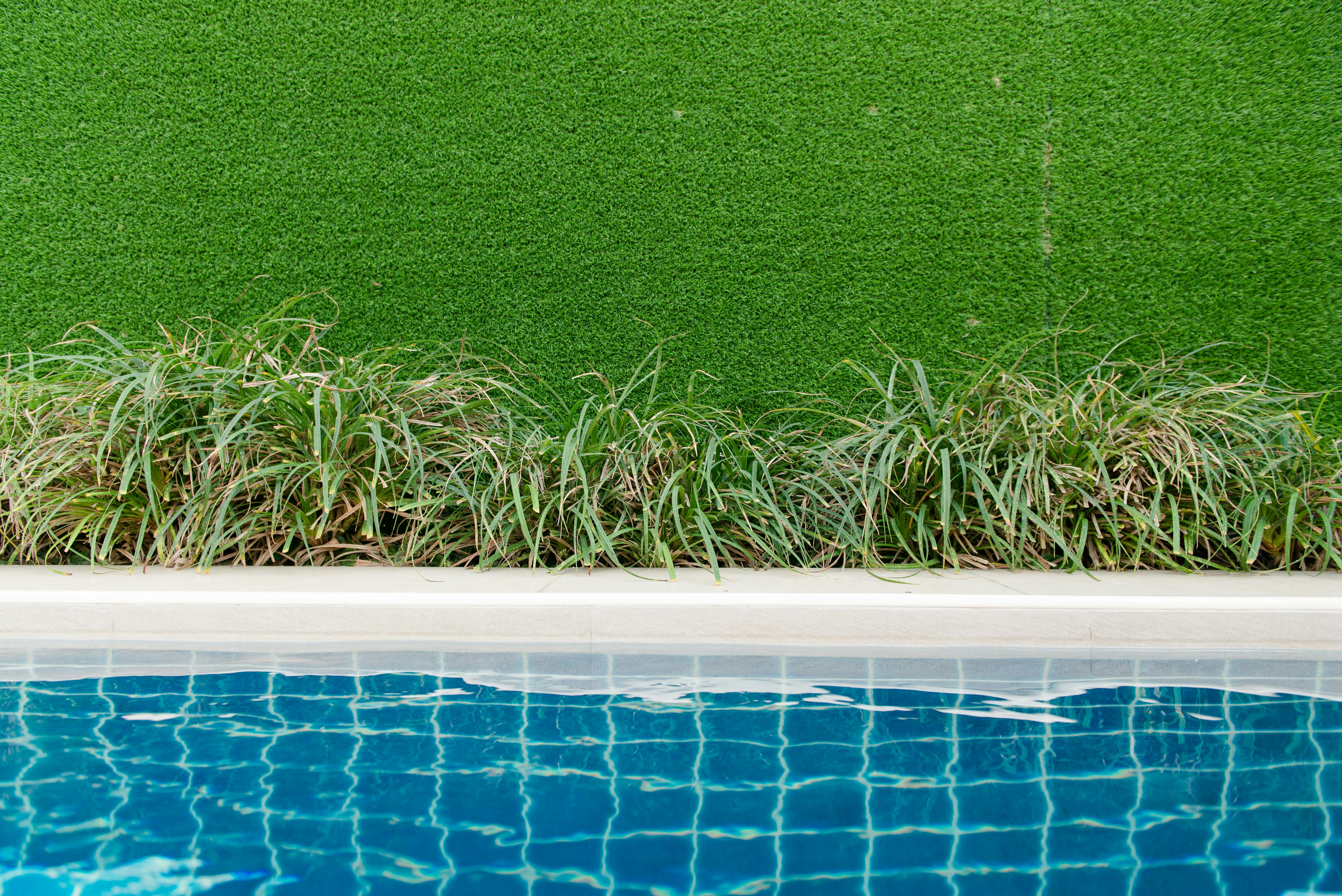 How to Choose the Right Pool Shape for Your Backyard