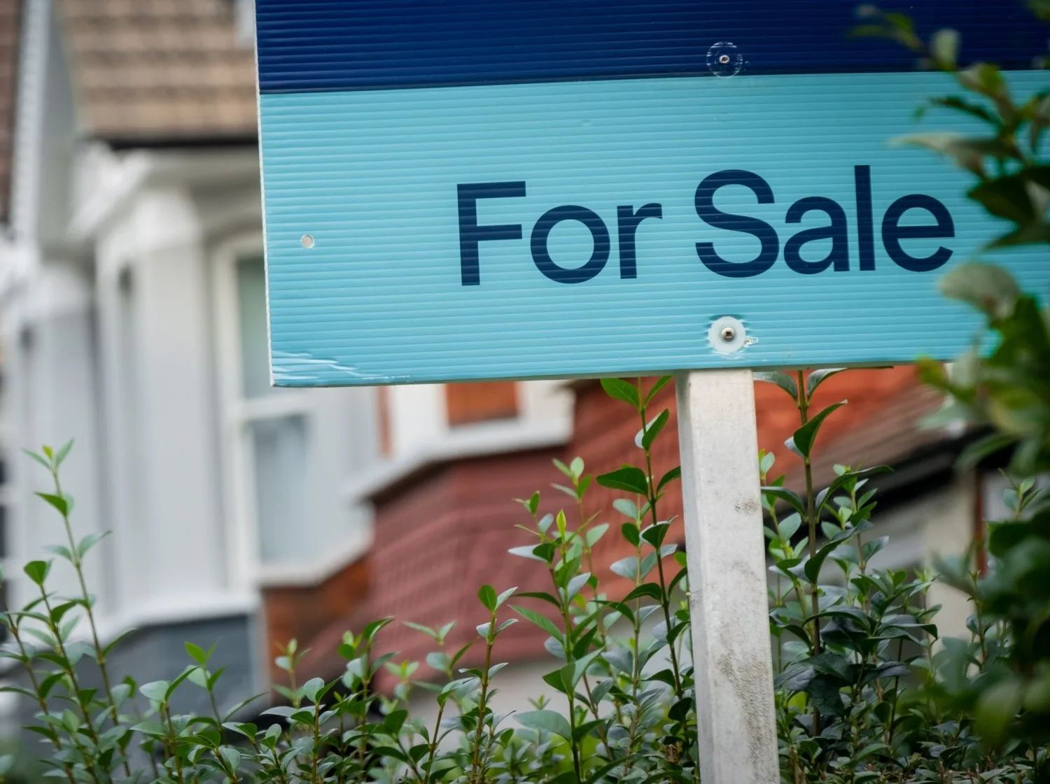 Browse businesses for sale with agent local
