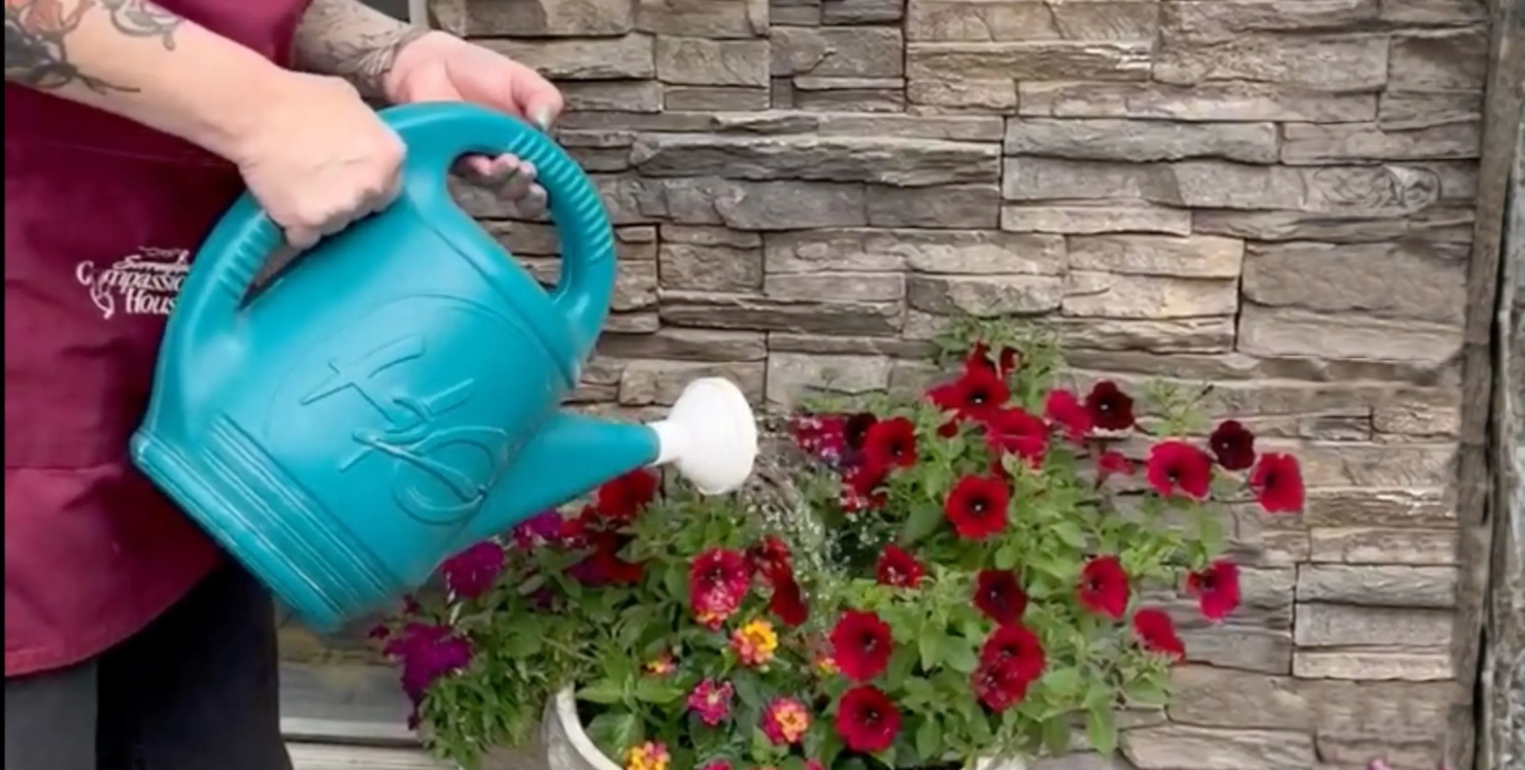 Watering red flowers