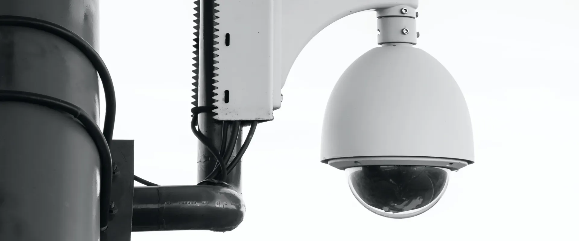 licensing image