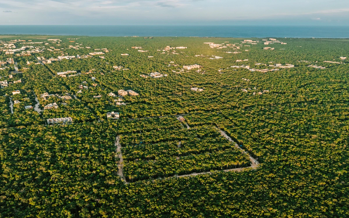 Beecheii Residential Lots for sale, Holistika Tulum - photo 1 of 10