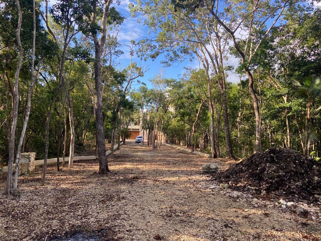 Manzana 55 | Five Jungle Building Lots in La Veleta, Tulum