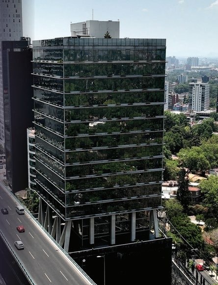 Adolfo López Mateos 2048 | Corporate Office Floors in Insurgentes Sur, Mexico City