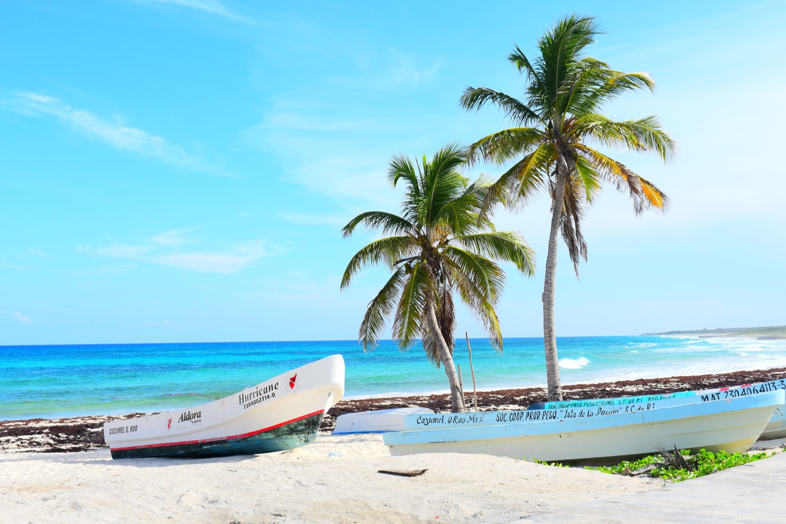 Fishing boats drawn up on a Cozumel beach beneath palm trees, turquoise water behind