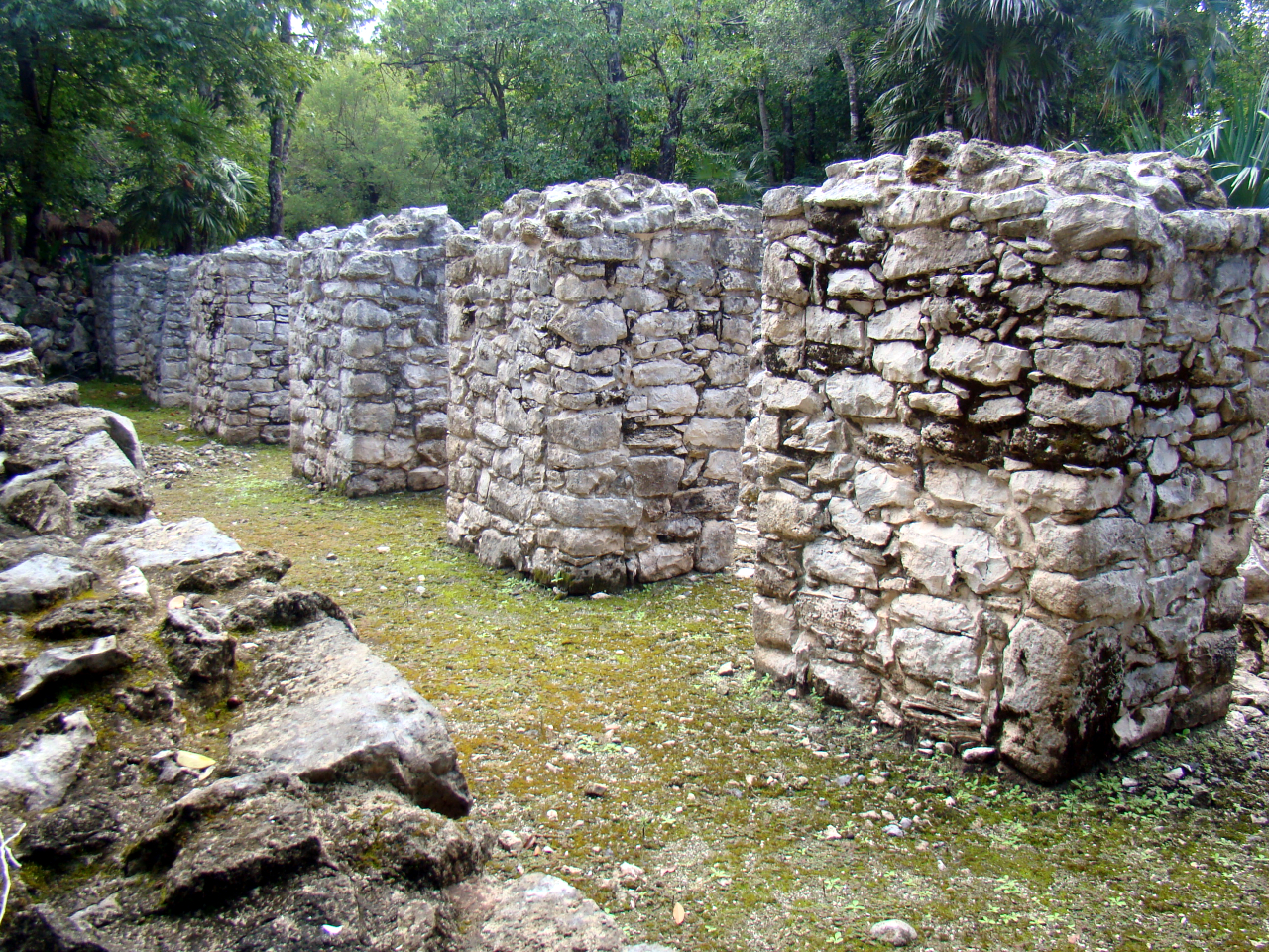 A row of standing stone walls and doorways at Xel-Ha, moss on the ground between them