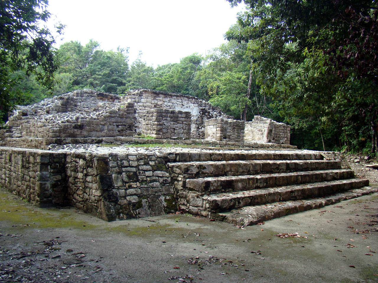 Stone steps and a low platform at the Xel-Ha archaeological zone, surrounded by jungle