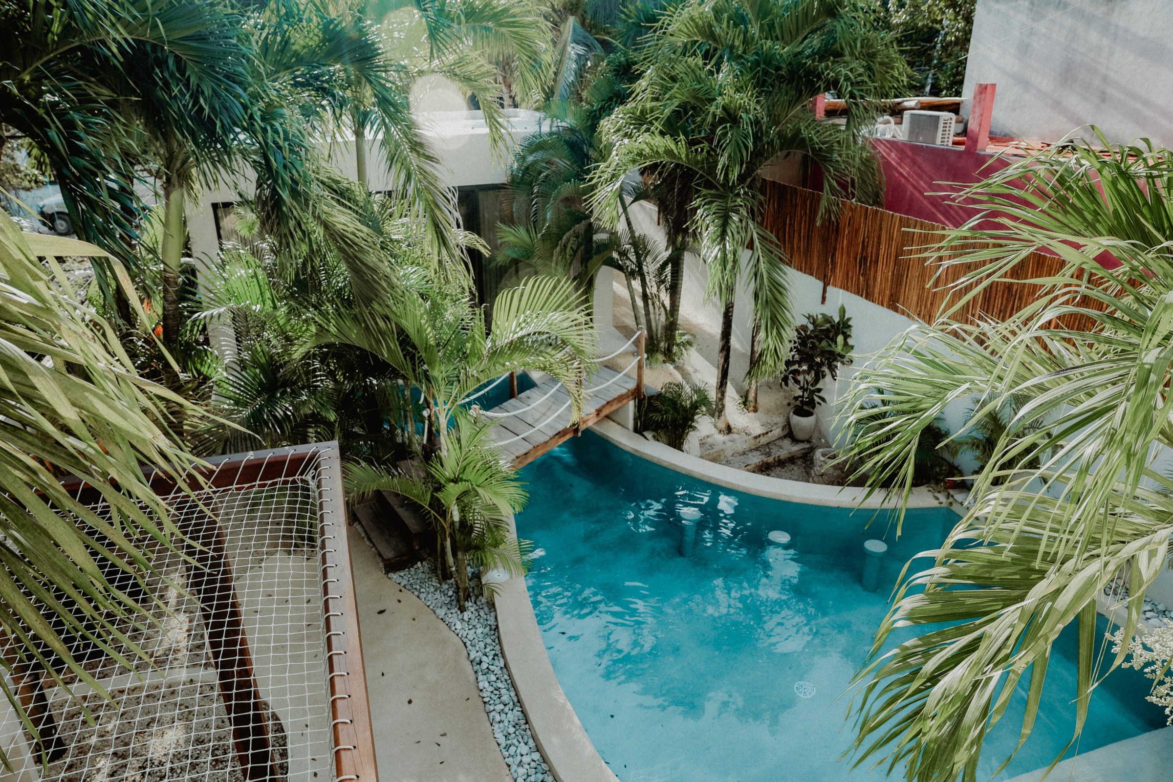 The curving pool seen from above, running between planted palms with the rope net hammock at its edge