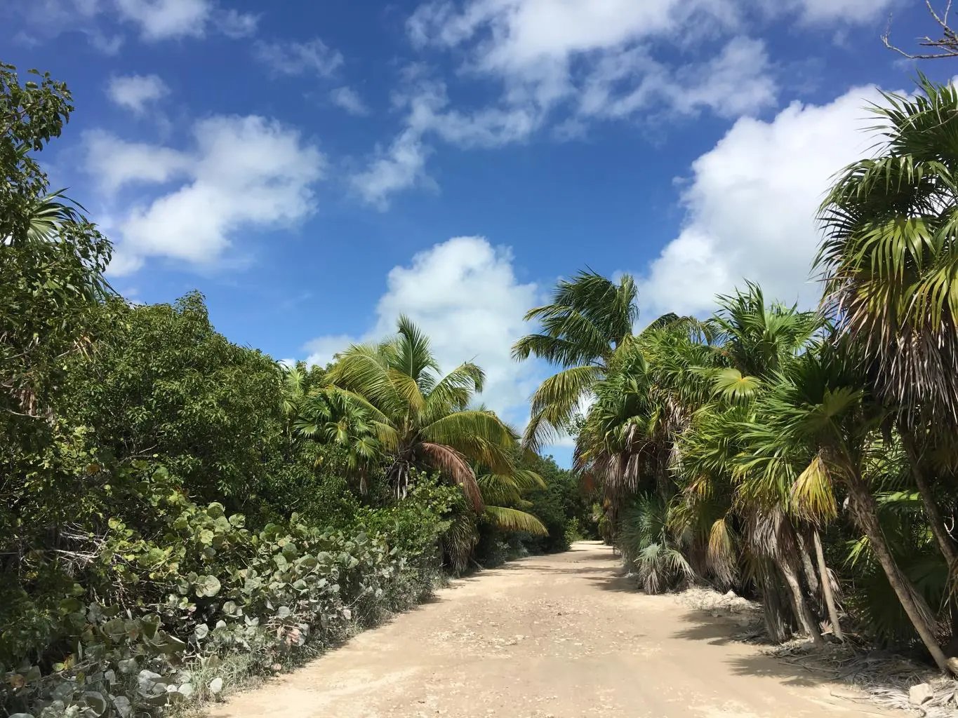 Sian Ka'an Lot 22 | 12 Acre Beachfront Land in the Sian Ka'an Biosphere