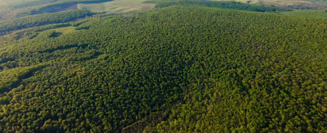 Francisco Uh May | 3 Hectare Land Parcel near SFER IK, Tulum