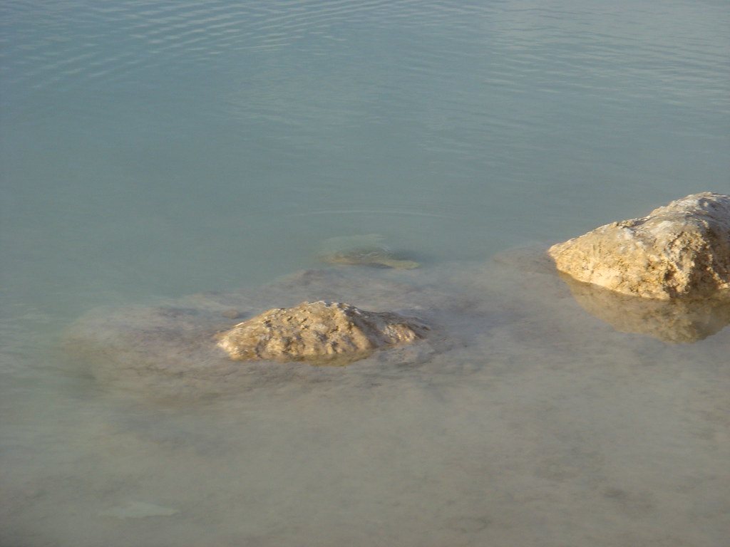 Stromatolites breaking the surface in the shallows of the Bacalar lagoon