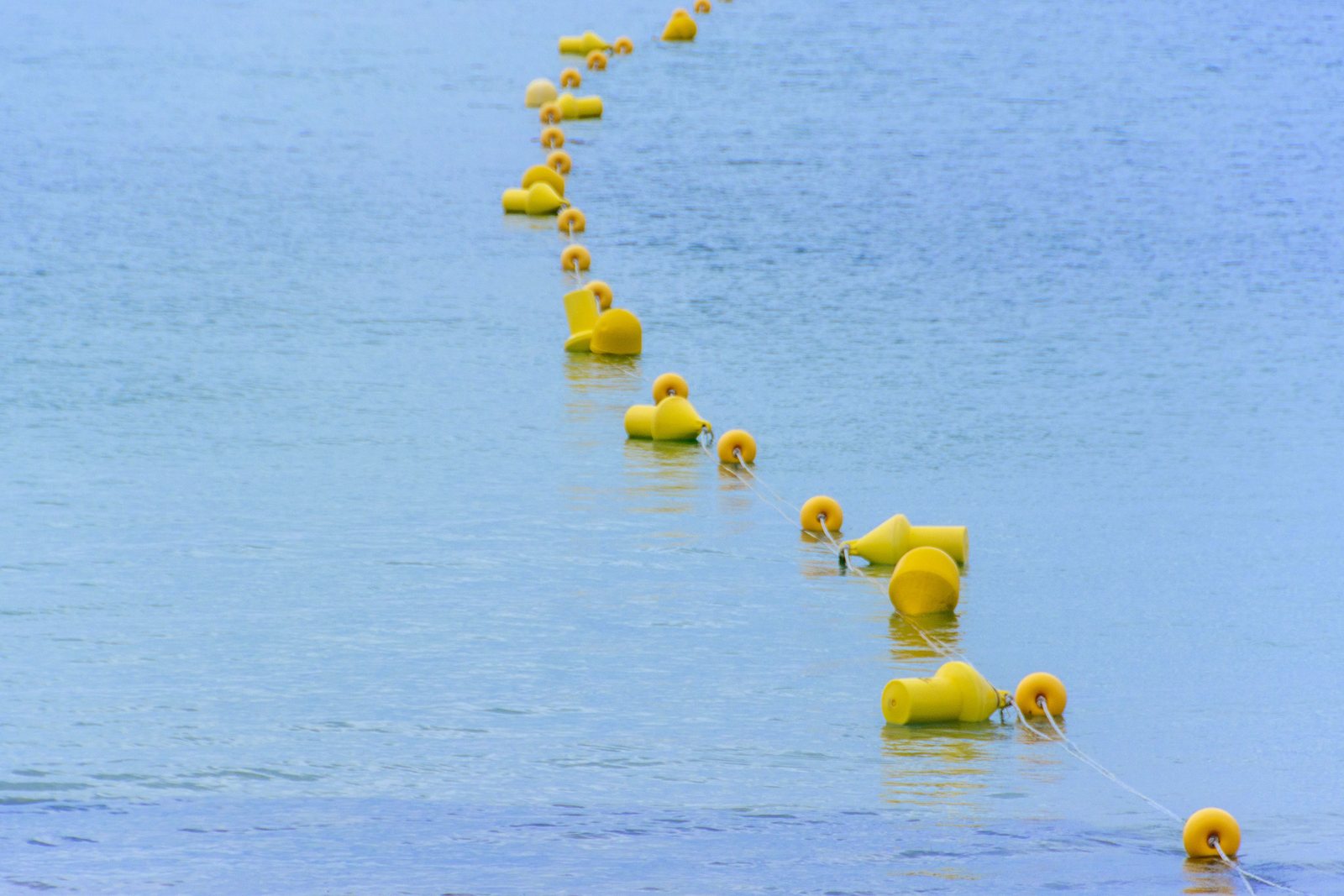 A line of yellow floating buoys curving across open water, marking a marine barrier