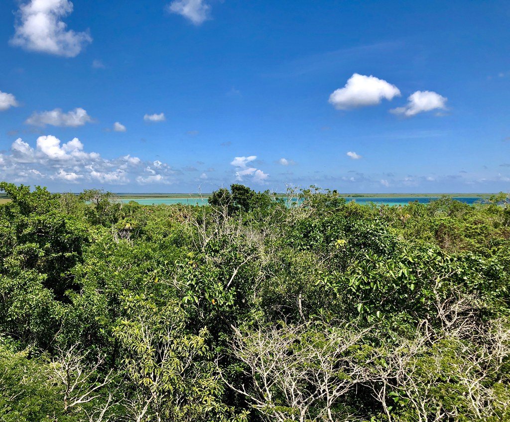 The view over the Sian Ka'an jungle canopy from the Muyil site