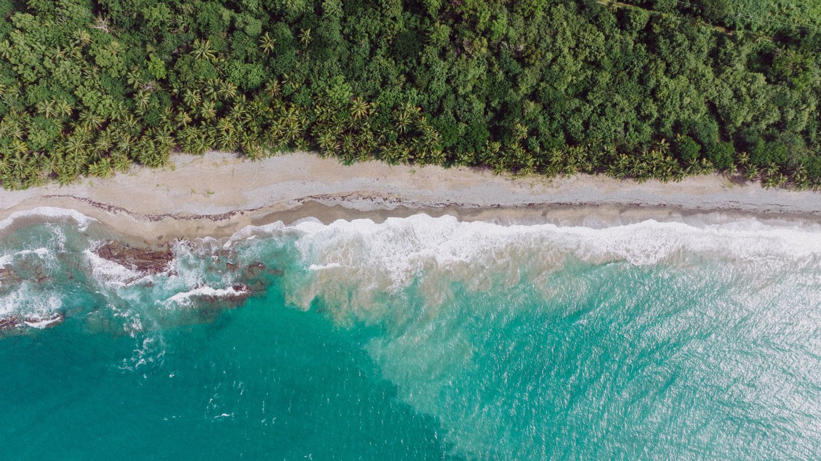 The Riviera Maya shoreline from above, palm forest meeting the sand and the reef water beyond