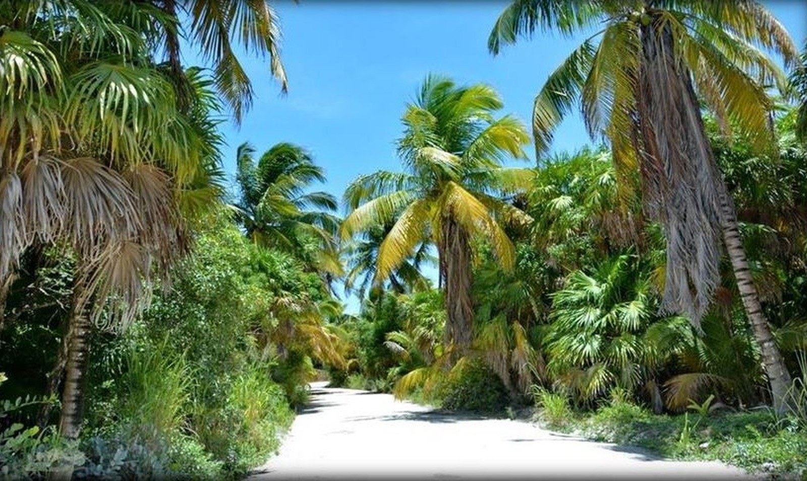 Ciudad Muyil | 1,000 m² Residential Lots Twenty Kilometres South of Tulum