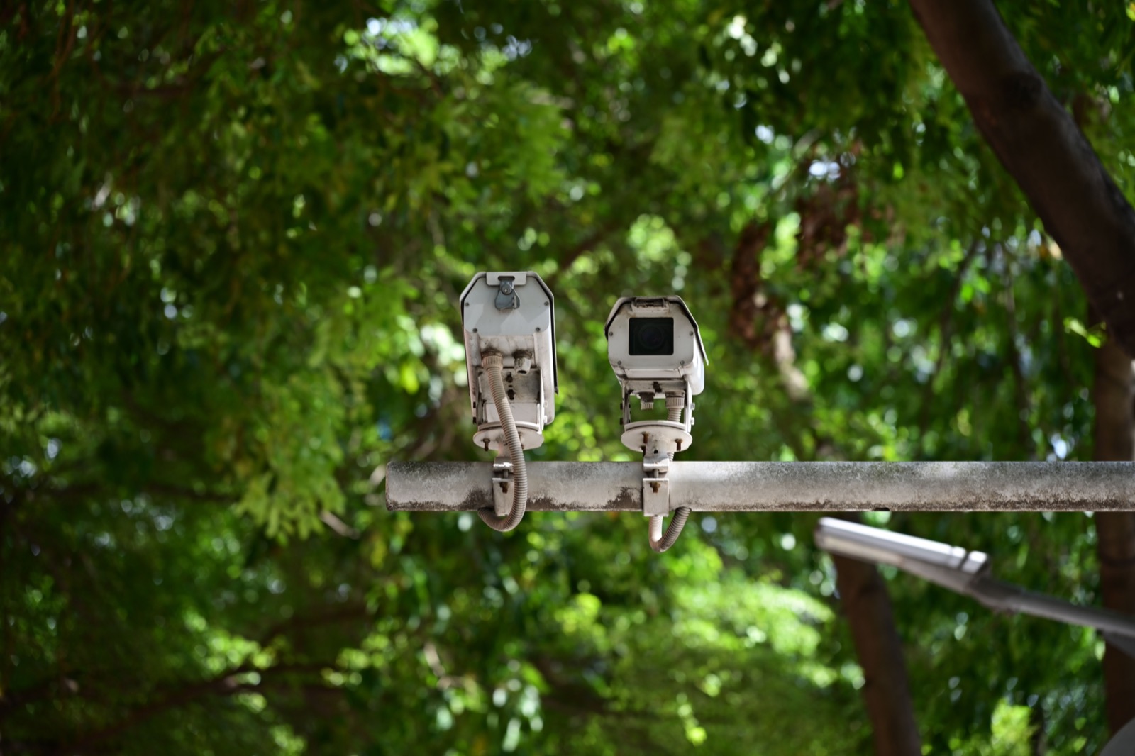 Two weathered white box cameras mounted on a grey arm beneath a green canopy of leaves, with a streetlight arm at the right