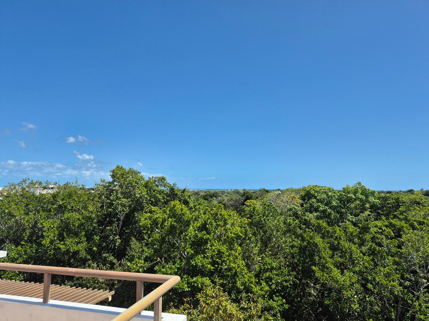 Ocean View Penthouse in TAO Community