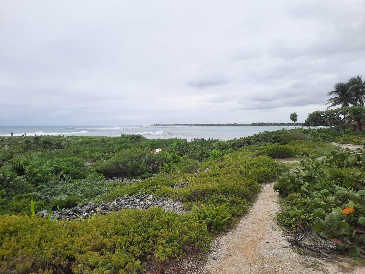 Akumal Oceanfront Land | 2 Hectare Development Site with 354m Frontage