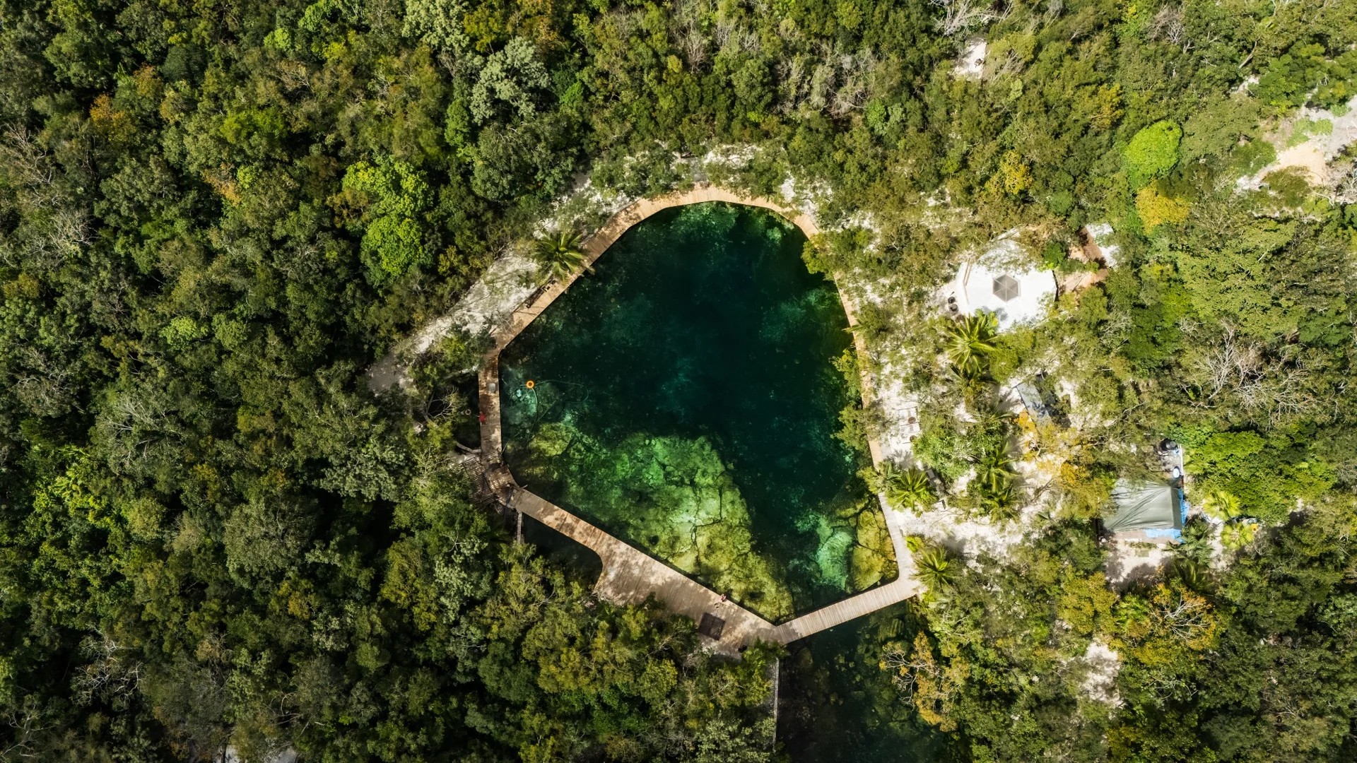 Cenote Vesica | 5 Hectare Cenote Club and Restaurant in Tulum