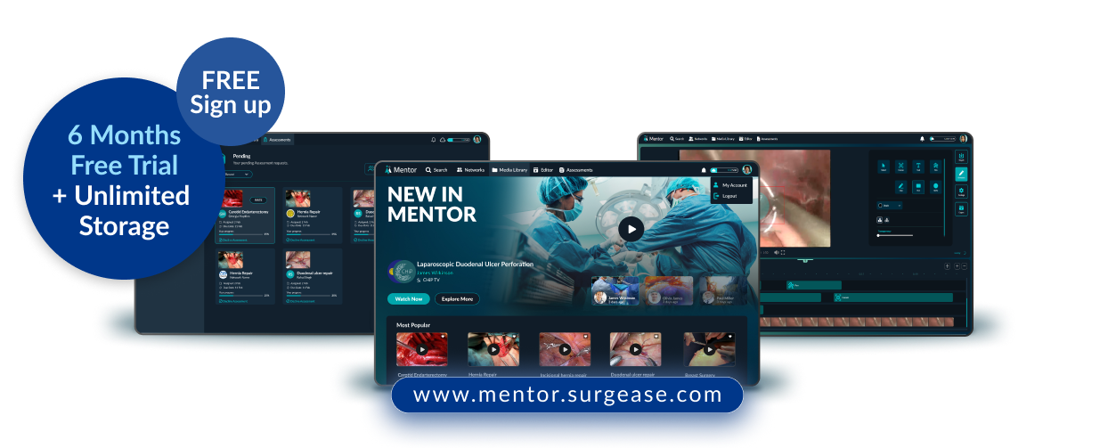 Mentor