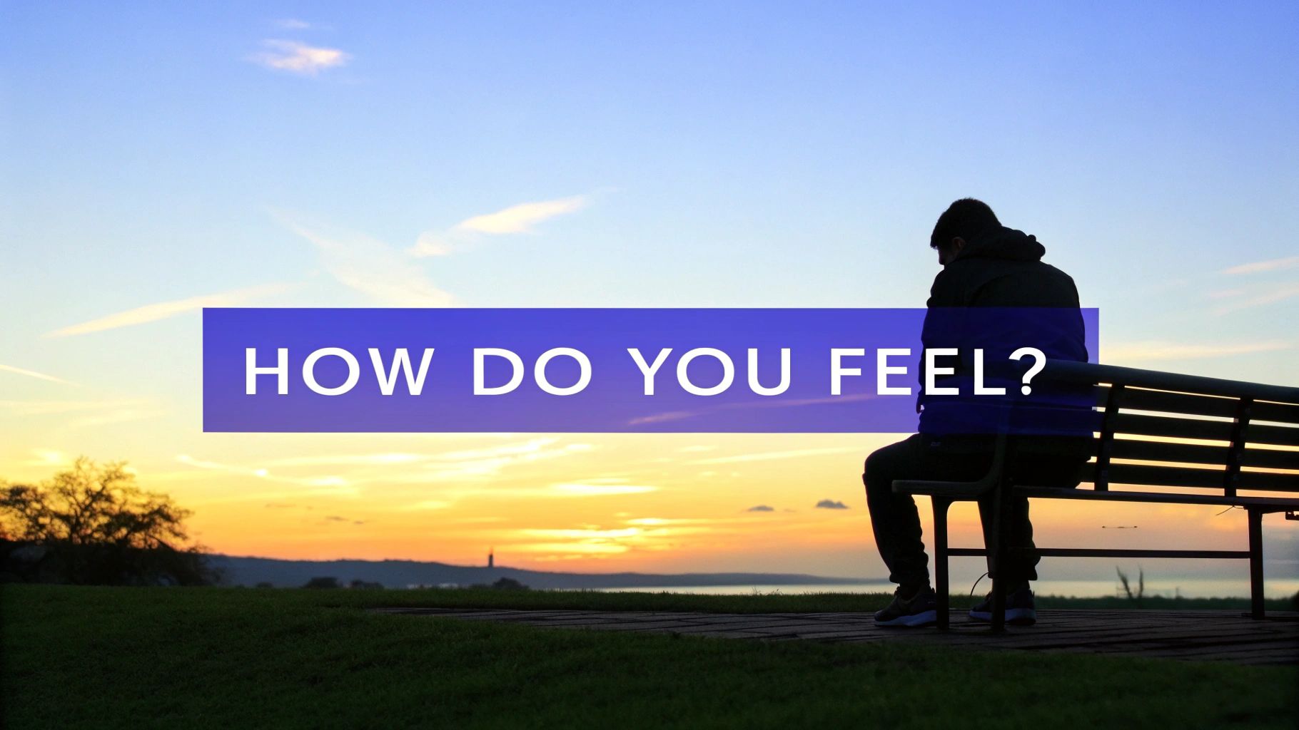 How do you feel about?