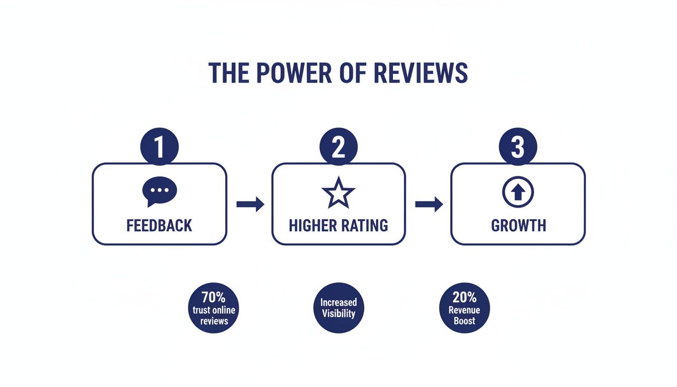 Infographic showing how customer feedback leads to higher ratings and business growth, supported by review statistics.