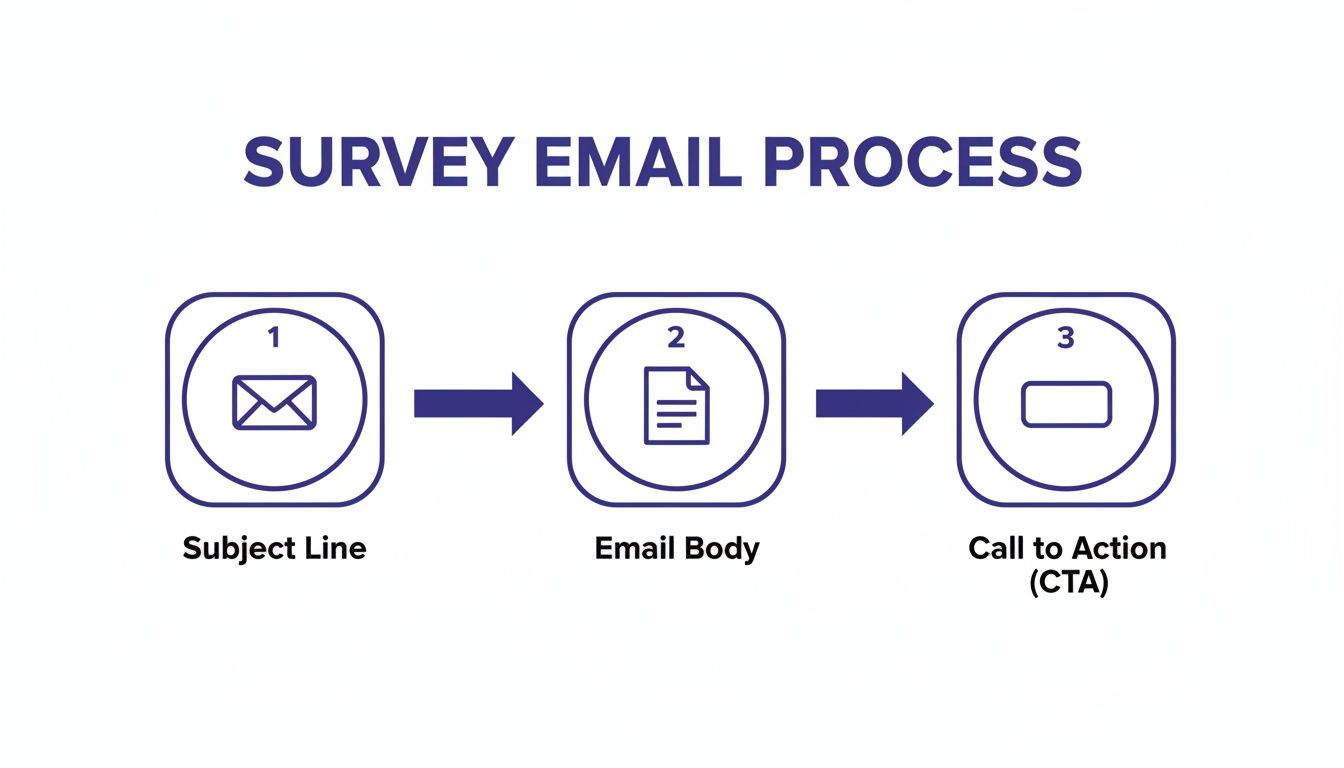 Diagram illustrating the three-step survey email process: Subject Line, Email Body, and Call to Action.