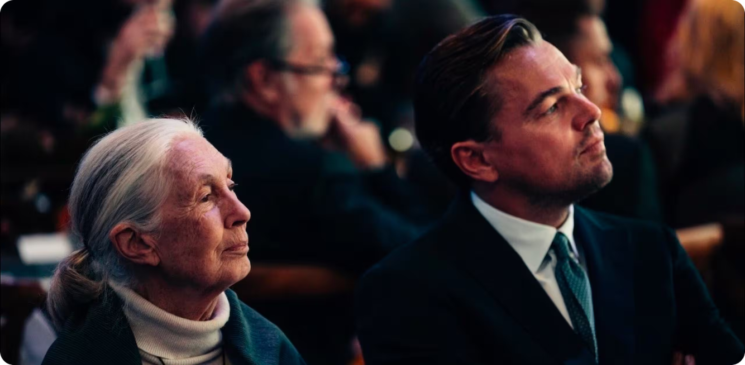 Leonardo DiCaprio Foundation