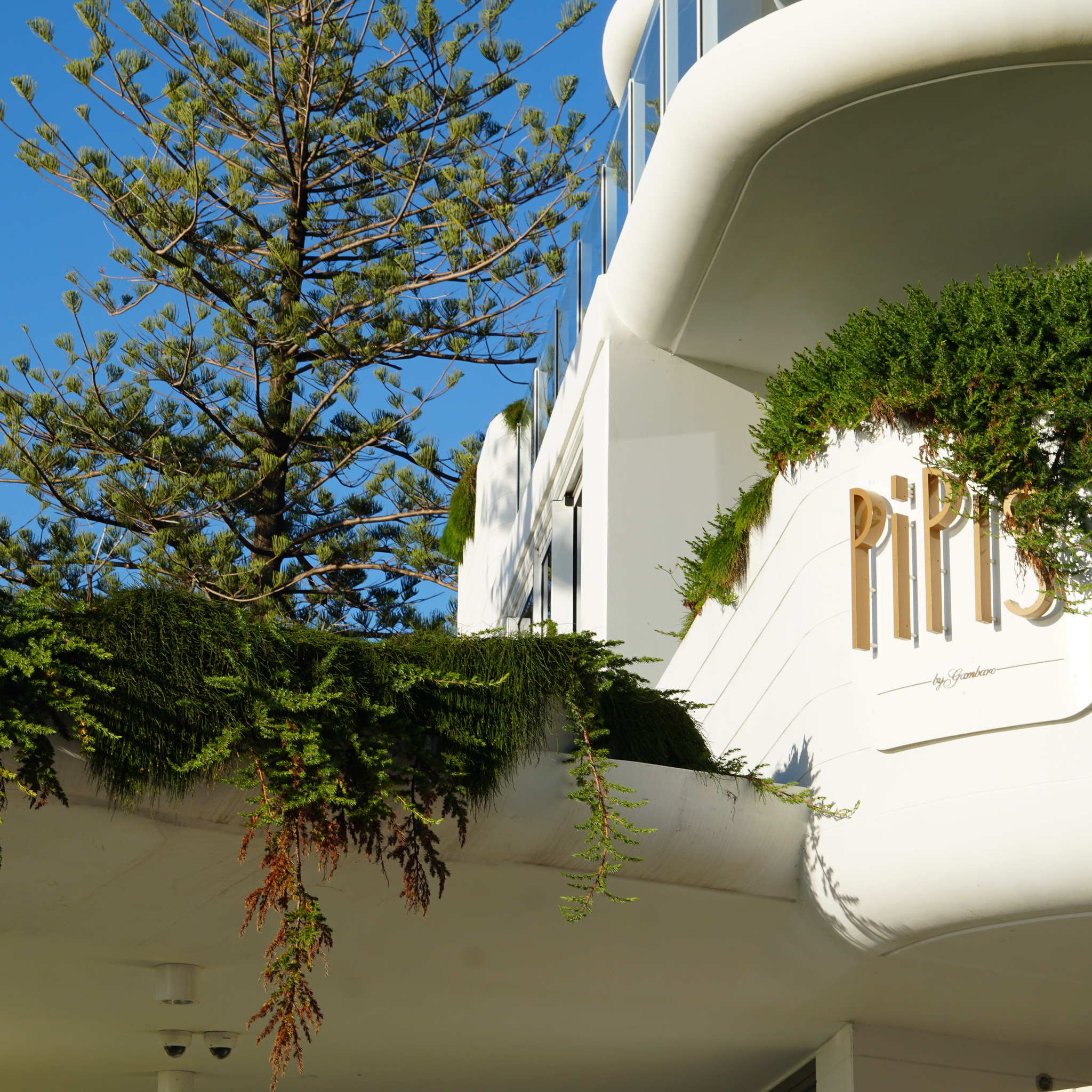 The Garland’s proximity to cafes, beaches, and coastal walking tracks