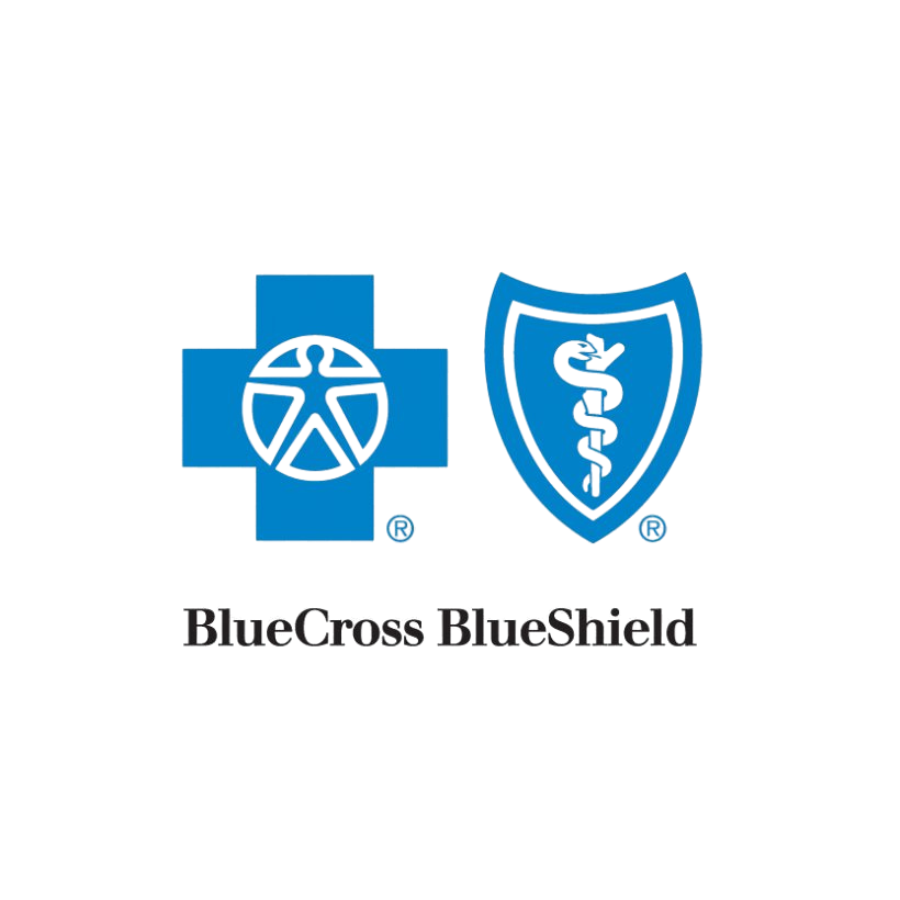Blue Cross Blue Shield Anthem eInsurance Logo