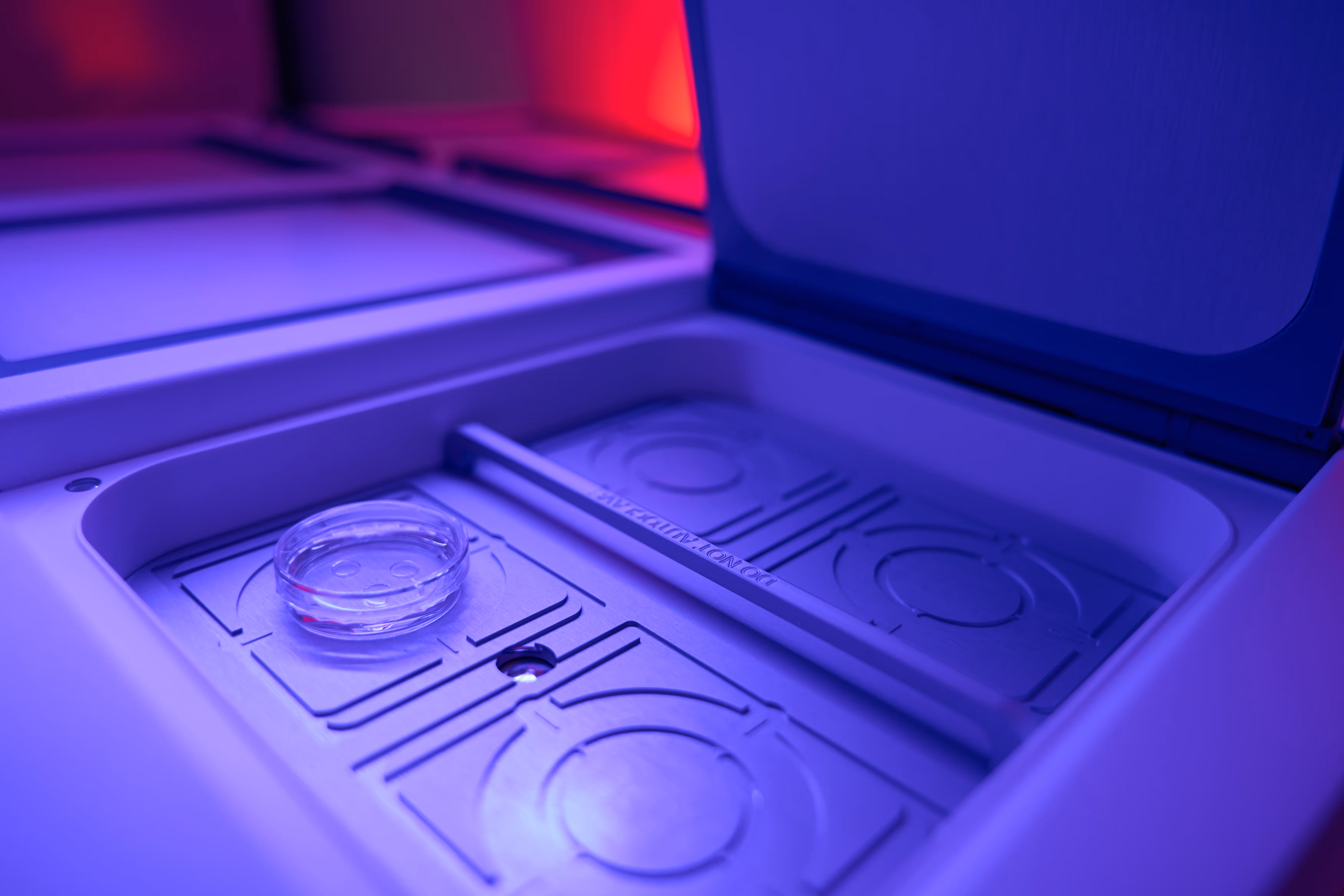 Close-up of a laboratory incubator under purple and red lighting, with a glass Petri dish placed on a metallic surface inside the chamber, commonly used in IVF or fertility research.
