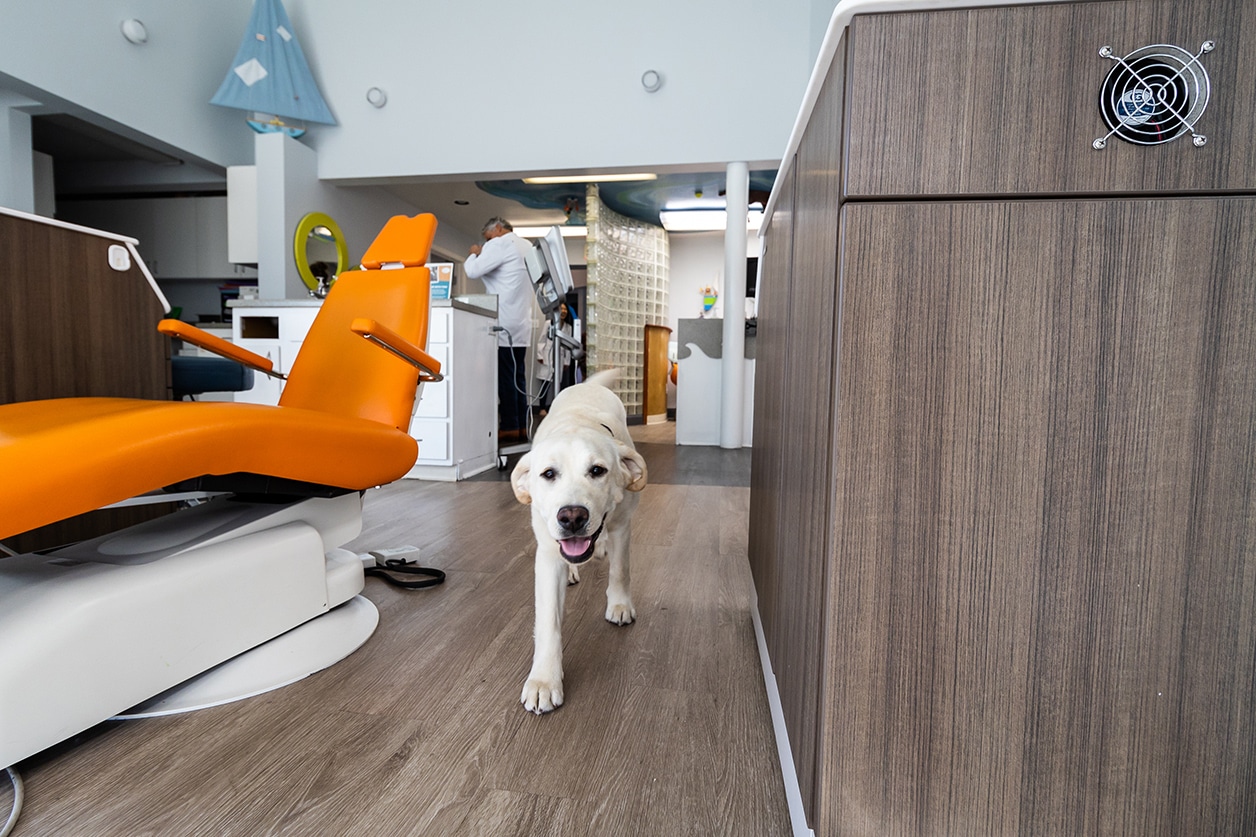 Keeping Your Smile Clean With Braces, Gardner & La Rochelle Orthodontics blog