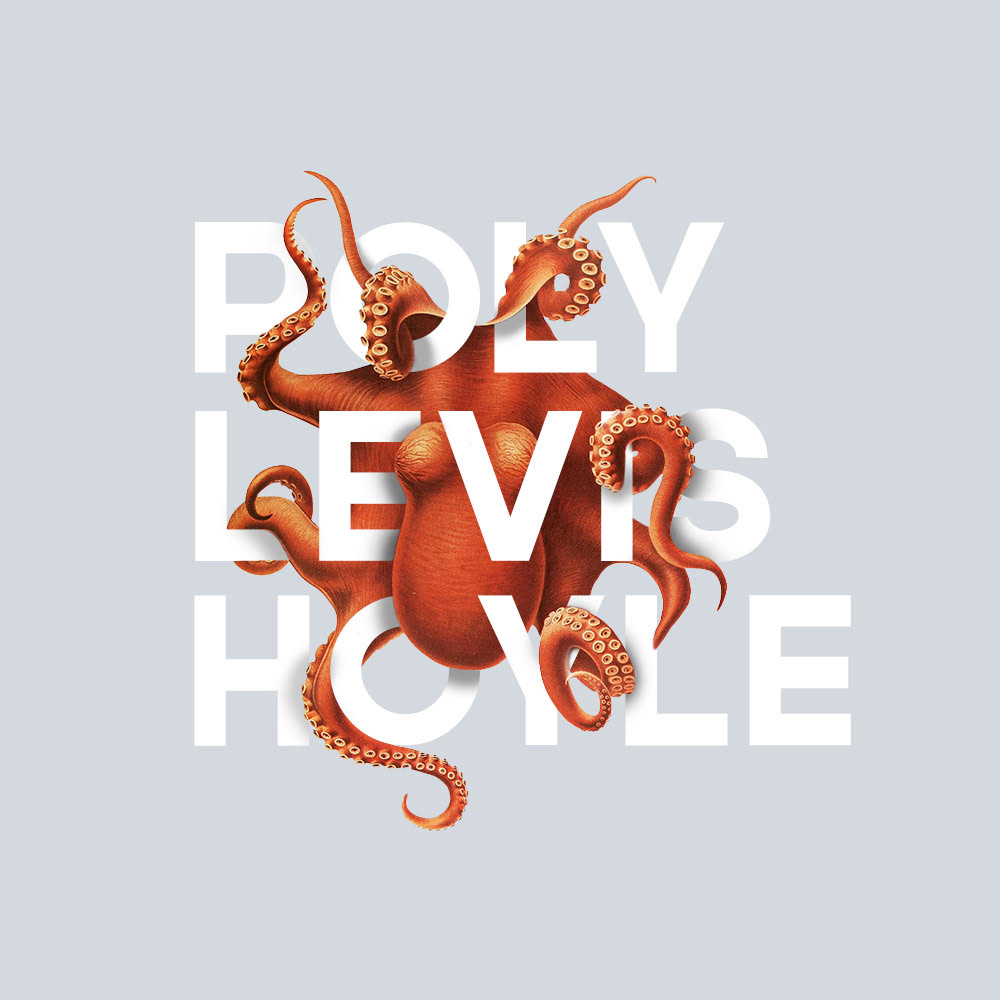 Cephalopod Illustration