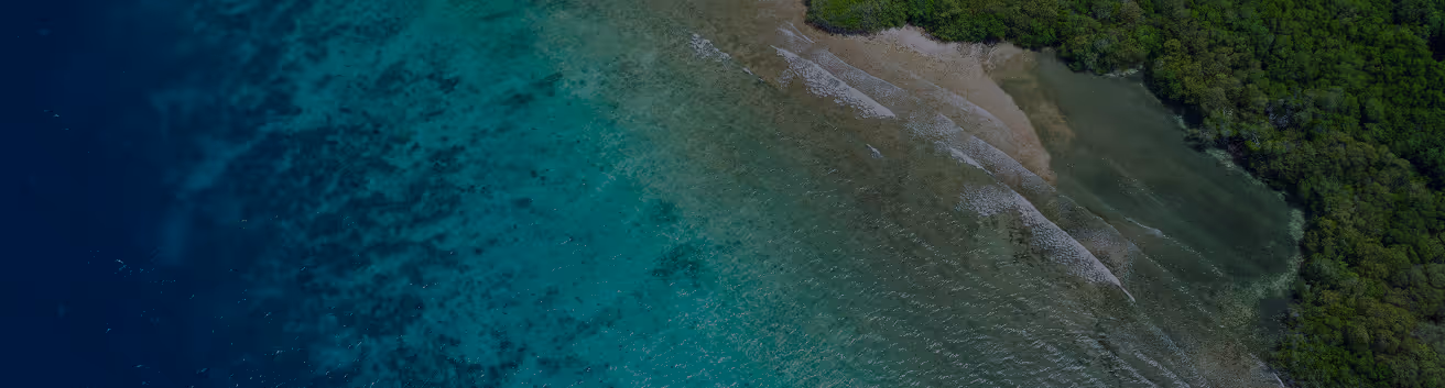 Aerial view of a tropical coastline with turquoise water, coral reef patterns, and dense green forest.