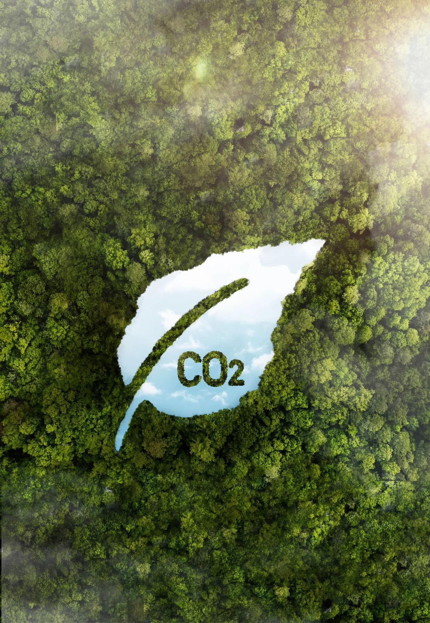 An aerial view of a forest with the word co2 on it.