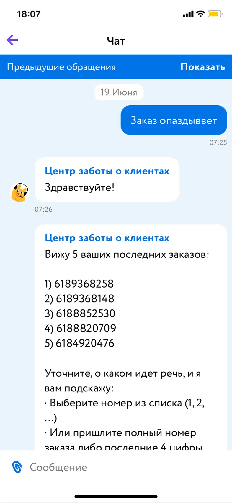 Чат с поддержкой