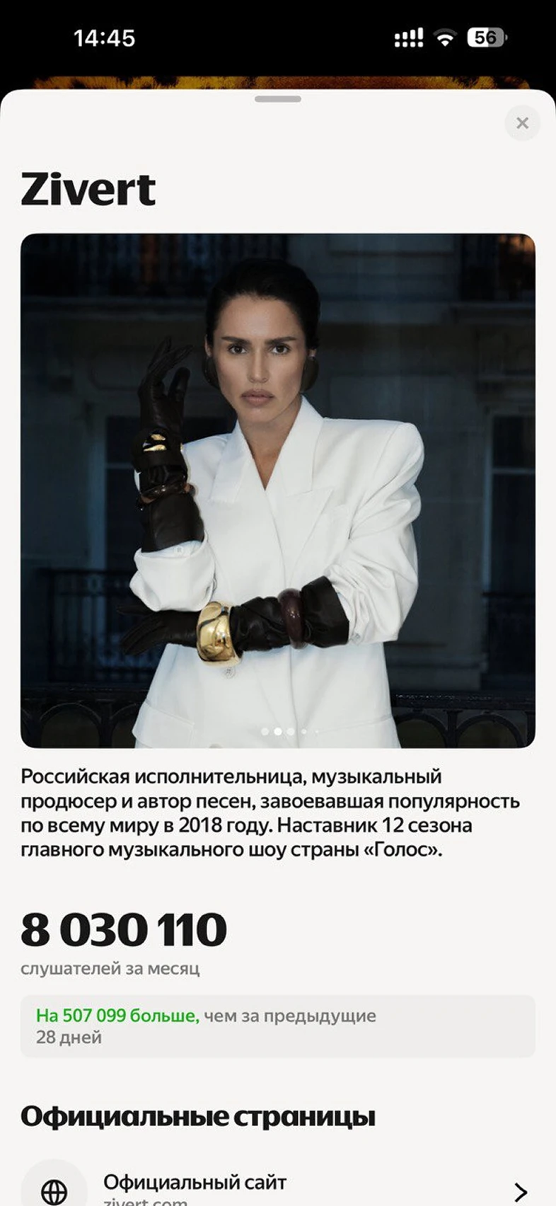 Просмотр подробной информации об исполнителе