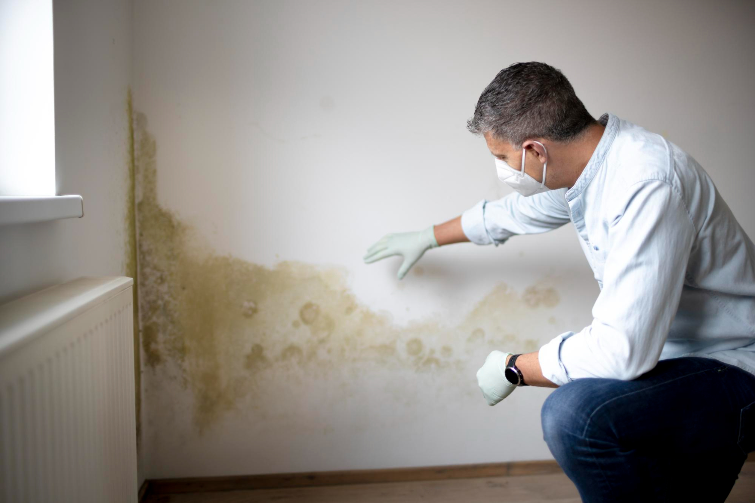 Professional in protective gear inspecting extensive mold growth on wall