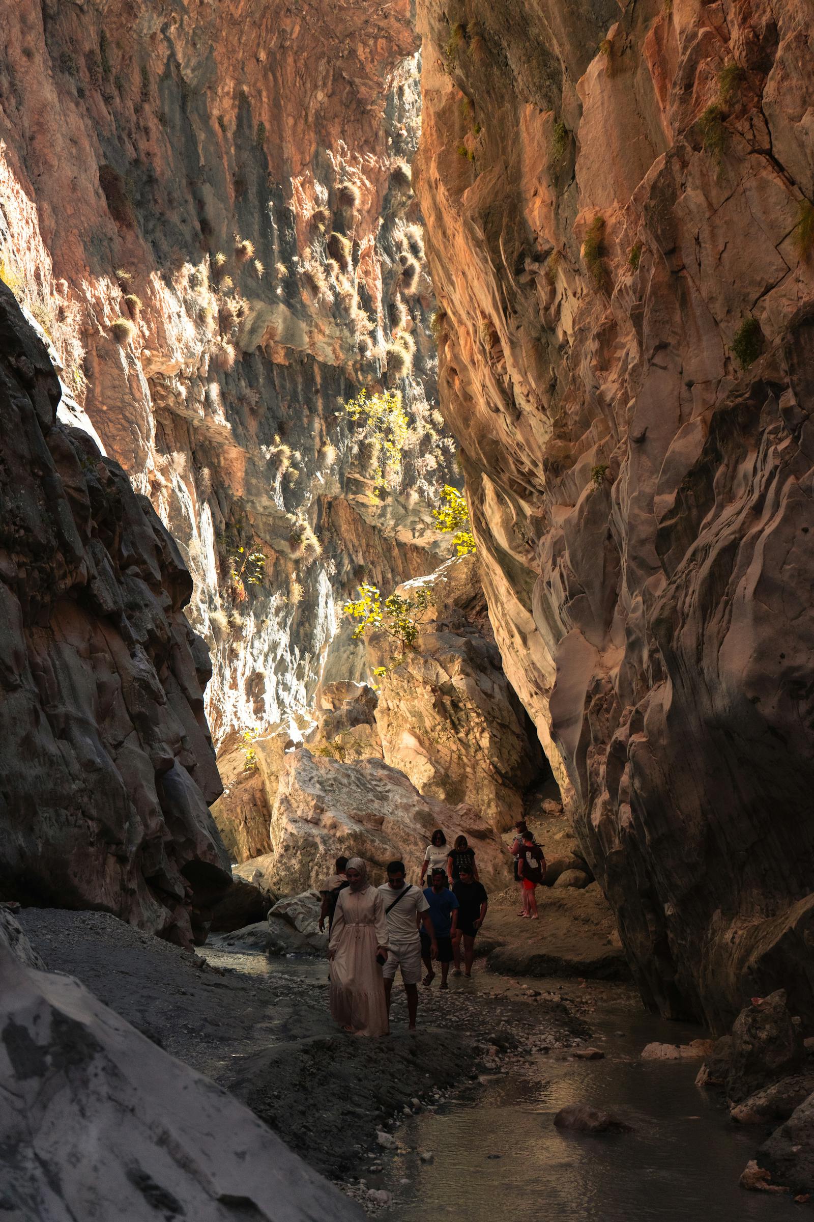 Hikers wading through a narrow limestone gorge with towering canyon walls
