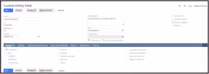 netsuite custom fields