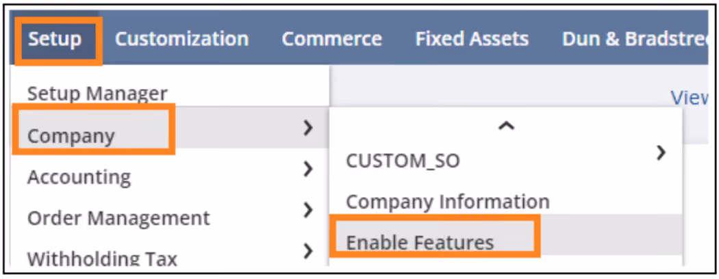 netsuite multi currencies