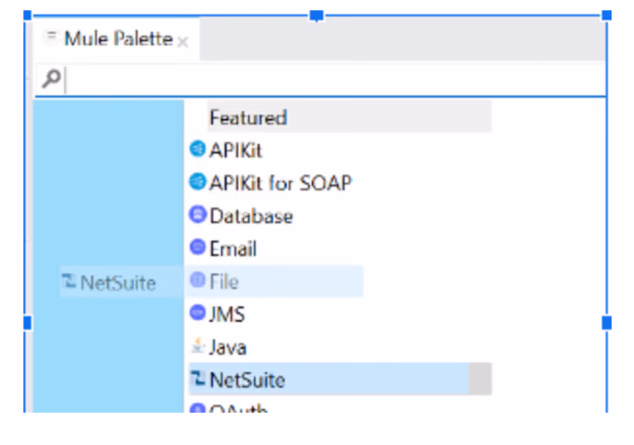 NetSuite Mulesoft connector