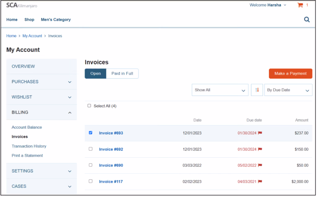 suitecommerce advanced make payments