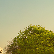 швидке будівництво будинку в Україні в Україні для великої родини